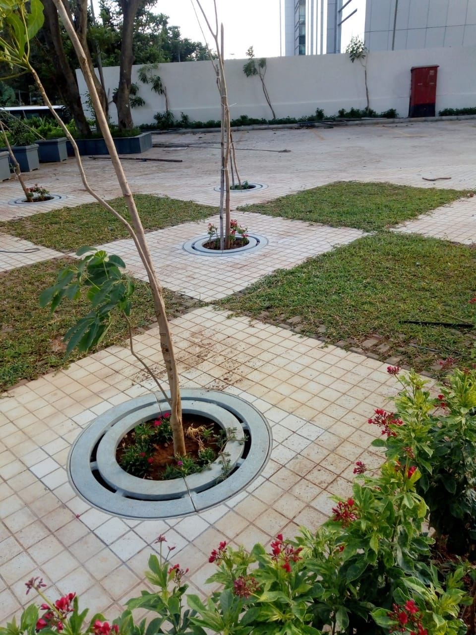 FRP Tree Guards | Nova Composite Solutions FRP Tree Guards manufacturer in Pune, India — Durable UV-stable tree guards for urban plantations and highways.